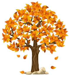 Fall